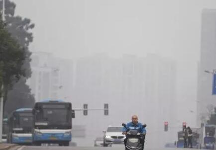 雾霾空气——油条视频安卓在线下载